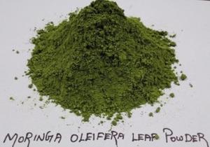 Vente en gros de poudre naturelle d'extrait de feuille de moringa superaliments biologiques en vrac fournisseurs/100% poudre naturelle de moringa oleifera - Product Image 5