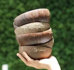 World Maps Hand Crafted Inside Coconut Shell Bowls Made in Vietnam - Product Image 1