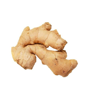 ขิงสดออร์แกนิกจากเวียดนาม - Product Image 1