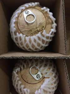 มะพร้าวสด (Viber + 84 971629648) - Product Image 5