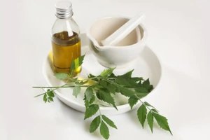 Aceite esencial de hoja de curry puro hecho de cáscara para artículos de cuidado de belleza - Product Image 2