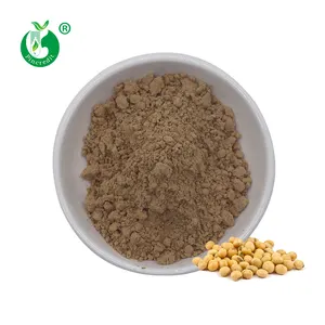 Großhandel Bulk NON- GMO Natural Soy Extract Soja Iso flavon Pulver