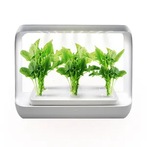 Indoor Garden Cabinet Box Bubble Nursery Pots Cultivation Box 6 Holes Hydroponic Kit Minimalist ABS Indoor Plant Growing Systems