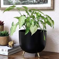 Best quality black Metal planters for home and office decor at lowest price - Product Image 5