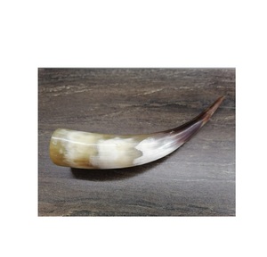 Paires de cornes 100% de haute qualité, fabriquées en corne de buffle, fabricant indien, pour l'artisanat naturel, à vendre - Product Image 5