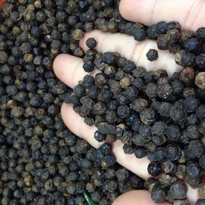 Vietnam Black Pepper 550 GL Cleaned for Export - Buy now +84968120420Whatsapp - Product Image 2