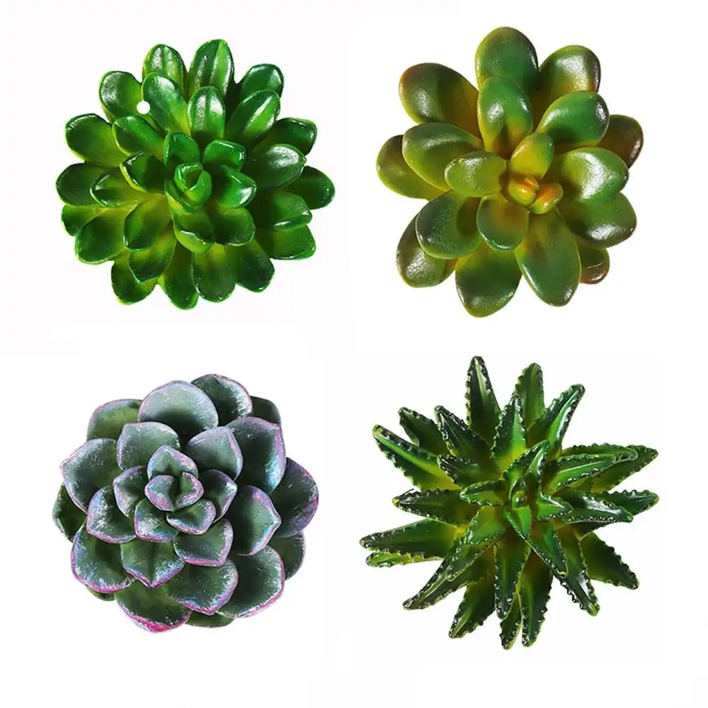 Funny 3D Resin Succulent Fridge Refrigerator Magnets Good Gift for Kid Friends