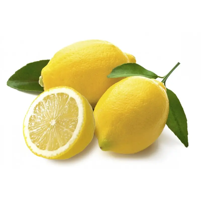 Grosir Jeruk Lemon Segar
