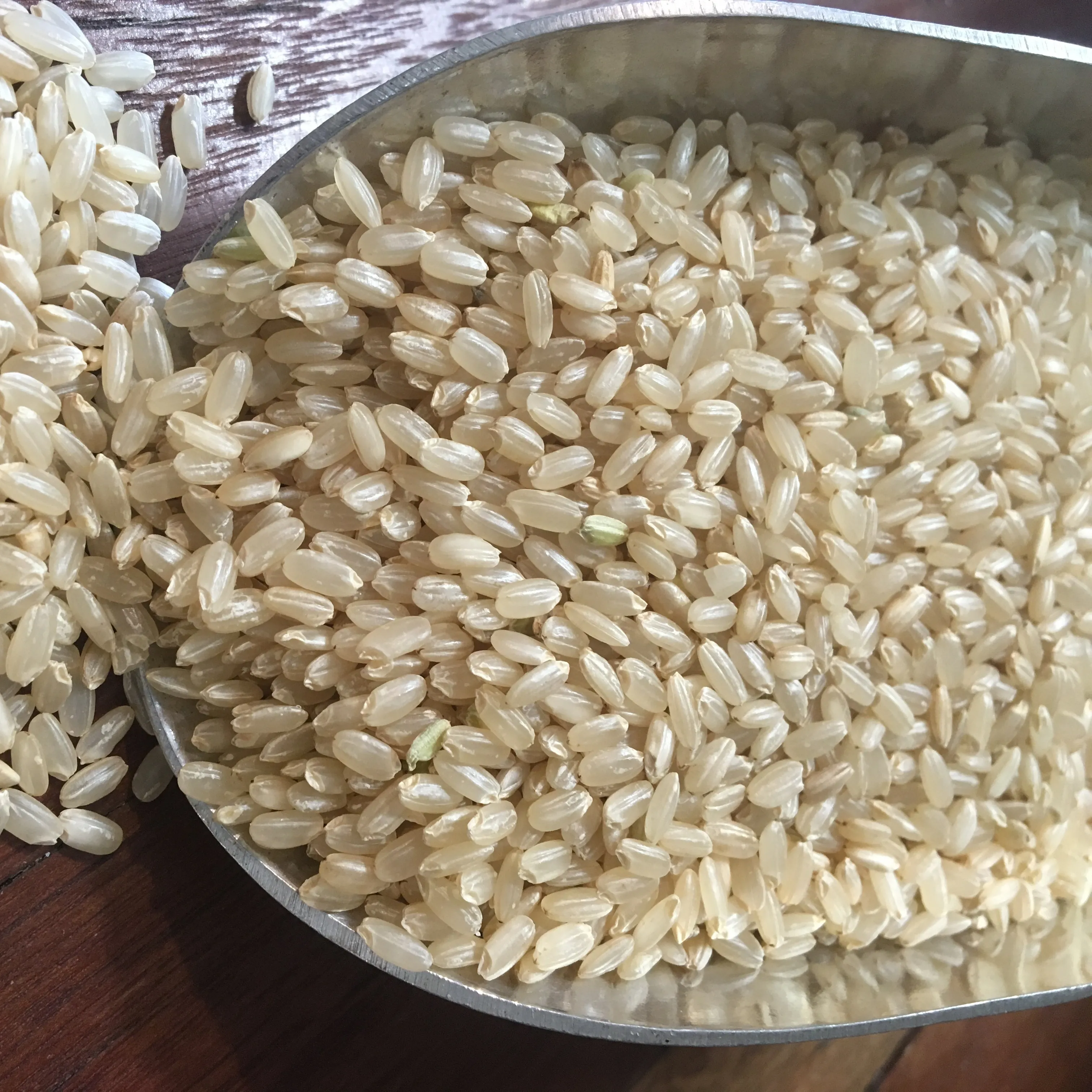 Top Grade Medium Grain Brown Rice - 5.5 mm