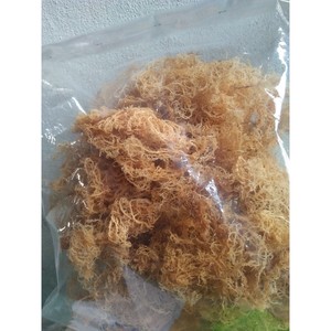 High Quality <b>Dried</b> Irish <b>Moss</b> Seaweed/ Cottonii Seaweed (Hot Price) - Product Image 5