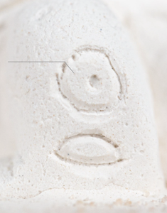 กรงสัตว์เลี้ยงทำจากพลาสติกเป็นมิตรกับสิ่งแวดล้อมสำหรับจัดสวนและดูแลสัตว์ทำจากพีระมิดของกิซา - Product Image 6