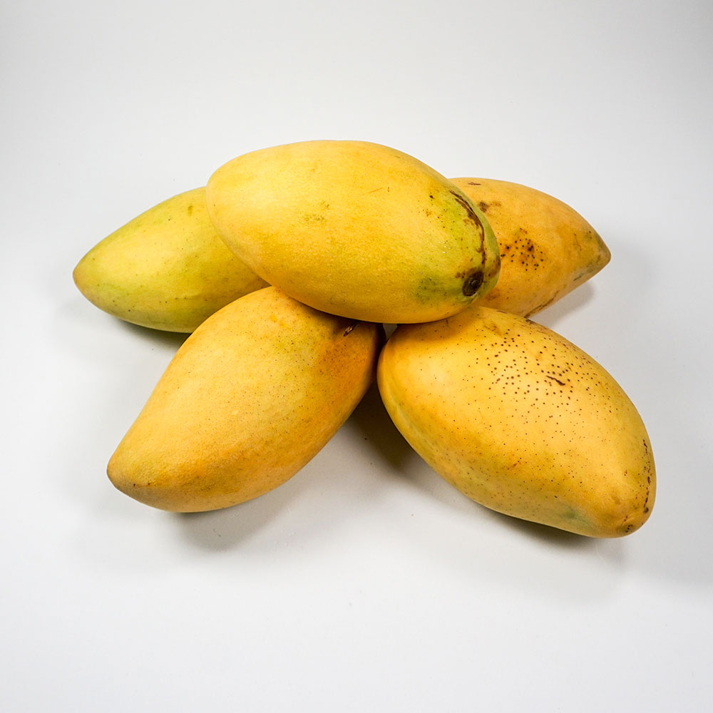 Vietnam Natural Yellow Mango Frozen Dice Half Cut Or Smash Fruit Bulk With Best Pric