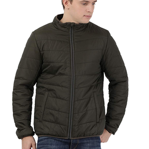 Vestes d'hiver matelassées pour hommes, décontractées, fines, à capuche, écologiques, respirantes, fermeture éclair, service OEM, impression en relief, taille XL - Product Image 4