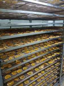 Orange séchée biologique de haute qualité du Vietnam processus de séchage naturel préservé aigre meilleur prix Contacter Mme Lily - Product Image 2