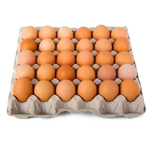 Chicken Eggs