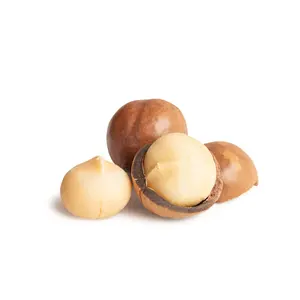 Hạt Macadamia/Bush Bị Nứt Vỏ Từ Gói Nhỏ Việt Nam