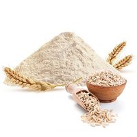 Poudre de Protéine de Riz Biologique Certifiée GMP à Livraison Rapide d'Usine, Vente en Gros, 80% de Protéines, 85% 90% Protéines Hautement Concentrées