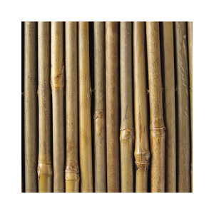 Tube de poteau en bambou au meilleur prix du Vietnam Matériau en bambou naturel durable de haute qualité pour de multiples applications - Product Image 2