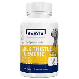 Milk Thistle ขมิ้น M พันธุ์ใหญ่135gr 90แท็บเล็ตผลิตภัณฑ์ดูแลสุขภาพสัตว์เลี้ยง - Product Image 1