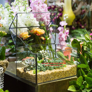 Glass Geometric Terrarium Planter Container Tabletop Large Close House Shape Box Planter <b>for</b> <b>Succulent</b> <b>Plant</b> Moss Fern - Product Image 2