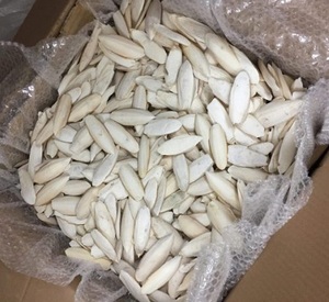 Hueso de sepia asequible - Product Image 1