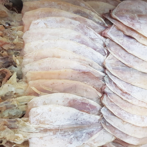 Rejilla Vietnam 1 Calamar Seco Peces Premium Tel + 84374288086 - Product Image 1