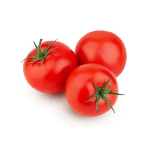 Tomate fraîche biologique, exportation aux normes, en stock