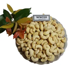 Vietnam Groothandelaar Kaju Rauwe Cashewnoten W210 W180 22.68Kg Vacuümzak Of Blikken Doos Gemeenschappelijke