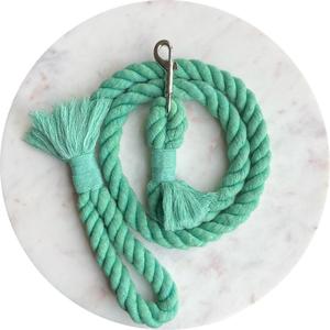 Costom <b>Dog</b> <b>Leash</b> - Product Image 1