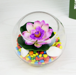 Aeofa – <span class=keywords><strong>vase</strong></span> à fleurs en forme de boule de <span class=keywords><strong>verre</strong></span> <span class=keywords><strong>transparent</strong></span> 15 20 25 - Product Image 3