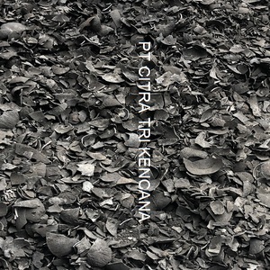 metal finishing purification COCONUT SHELL CHARCOAL CARBON ACTIVATED FOR WATER FILTER BEST Rennes FRANCE - Product Image 3