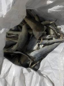 ผิวปลาสวายจากเวียดนามแห้งดีที่สุด - Product Image 6