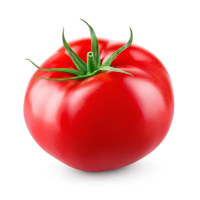 Best Selling Tomatoes With Tuna Tomato Sauces Paste Price 2021 High Yield Tomato For Sale