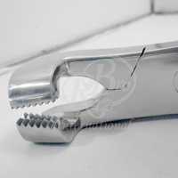 Instruments chirurgicaux vétérinaires universels en acier inoxydable Rizbro International, forceps dentaire équine à mâchoire dentelée, 22 pouces
