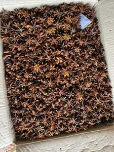 ราคาที่ดีที่สุดสำหรับดาวโป๊ยกั๊ก-ที่มีคุณภาพสูงสุด FOE ขาย - Product Image 5