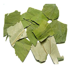 Feuilles de lotus entières séchées avec des pièces décoratives dans une grande peinture - Matériaux naturels vietnamiens - Product Image 3