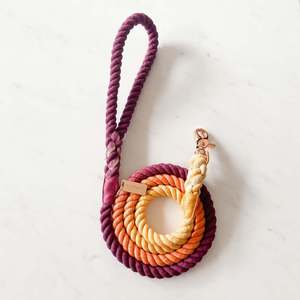 Sunkissed-เชือกจูงสุนัข/สายจูงสุนัข/โรสโกลด์คลิป/152เซนติเมตรยาว/ถักไฟเบอร์/ฤดูใบไม้ร่วง/สีส้ม/สีเหลือง/สีแดง/ทำด้วยมือ - Product Image 1