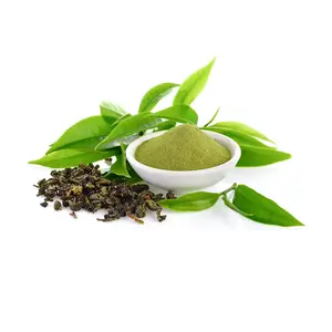 By Experienced Manufacturer Supply Direct Factory Green Tea Dry Extract in Wholesale Price Private Label Extract Greentea Powder