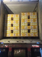 Groothandel Vietnam Verse Monthong Durian Premium Kwaliteit Geel Vlees ISO Gecertificeerd Rechtstreeks Van De Producent