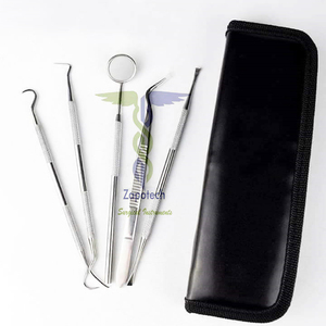 Ensemble d'hygiène dentaire en acier inoxydable, alimentation manuelle, Zapotech, certifié CE, usage hospitalier, garantie 1 an - Product Image 1