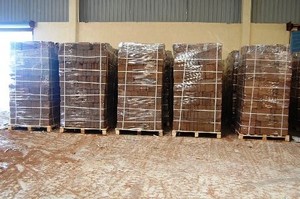 Proveedores de copeat estándar ISI - Product Image 5