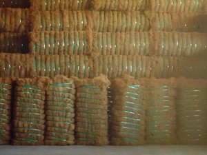 Fibra de Coco utilizada para diseñar cepillos para colchones de cuerda y productos de tapicería. Fabricante y exportador de fibra de coco de la India. - Product Image 6