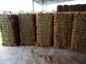 ใยมะพร้าวอัดก้อน น้ำหนัก 110-125 กก. / ก้อนสำหรับส่งออกจากอินเดีย - Product Image 4
