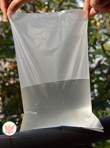 ถุงพลาสติกใสปิดผนึกแบนพิมพ์ลายกำหนดเองสำหรับขนมนุ่มและซูชิเพื่อการส่งออก - Product Image 3