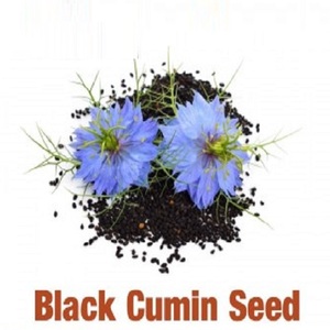 Aceite de Semillas de Comino Negro (Nigella Sativa) 100% Orgánico Premium Prensado en Frío de la India, Proveedor Confiable - Product Image 2