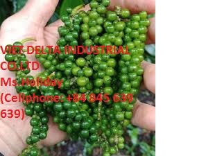 Grains de poivre vert/grains de poivre vert jeune - Product Image 3