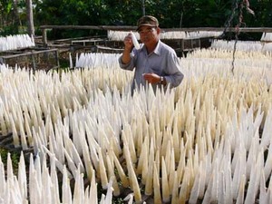 ราคาปลากระเพาะที่ดีที่สุด/ปลากระเพาะแช่แข็ง- คุณ: ฮอลิเดย์ - Product Image 2