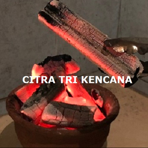 Bayside Sydney 2019 Austria ถ่านกัมมันต์, ถ่านกัมมันต์จากฮาลาบัน/กาแฟ/ผลไม้เผา3ชั่วโมง5-10ซม. - Product Image 1