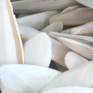 En vrac Seiche Os-Os de seiche Propre à vendre - Product Image 3