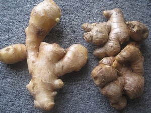 Gừng tươi tốt nhất từ nhà cung cấp tốt nhất Việt Nam/rễ gừng tươi: cần thiết cho các món ăn ngon và thơm - Product Image 3